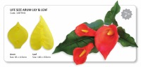JEM Life Size Arum Lily & Leaf