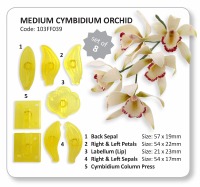 JEM MED Cymbidium Orchid Set 8