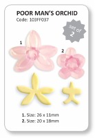 JEM Poor Man's Orchid Set of 2