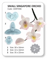 JEM Singapore Orchid Set of 3