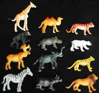 Jungle Animals 6 CT