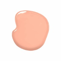 Oil Based Color Peach 20ML