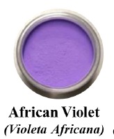 Petal Dust - African Violet