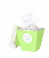 Popcorn Box Kit Green