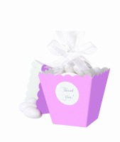 Popcorn Box Kit Pink