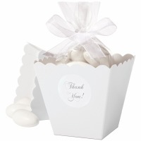 Popcorn Box Kit White