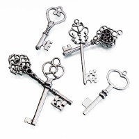 Silver Keys Set of 24