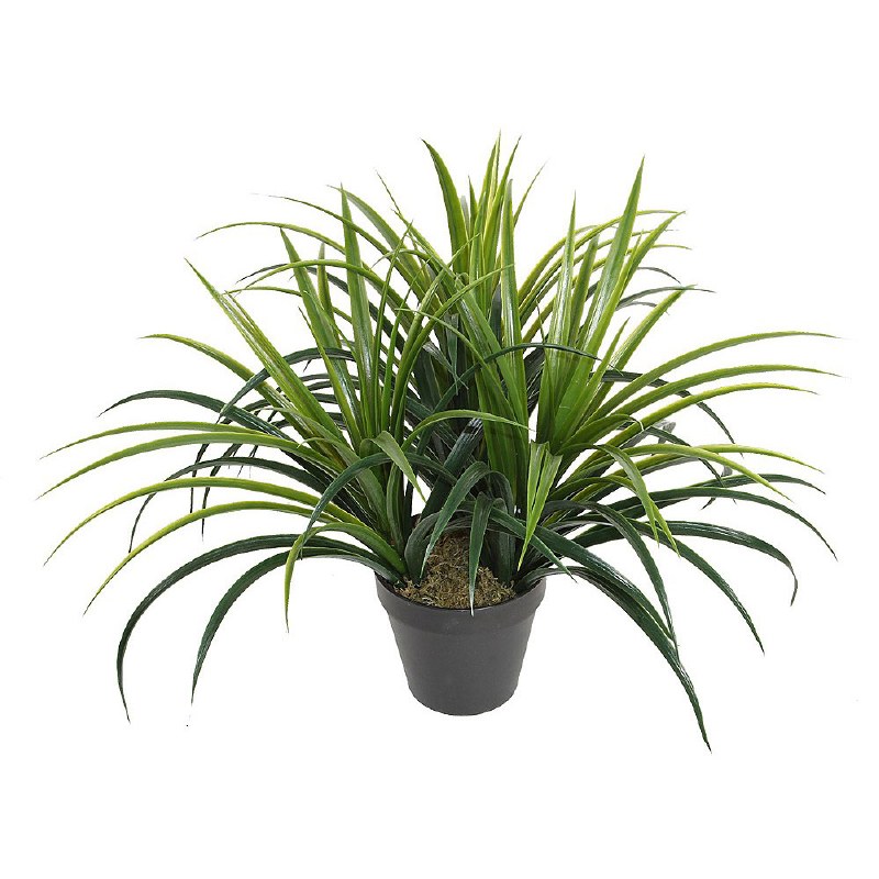 Grass Plant - 19&quot;