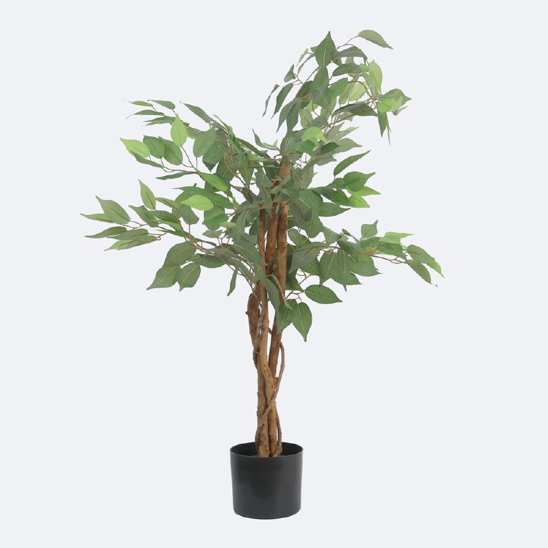 Faux Ficus Tree - 3 Trunks
