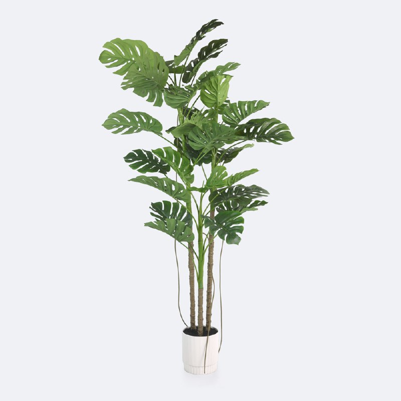 Faux Monstera Plant - 210cm