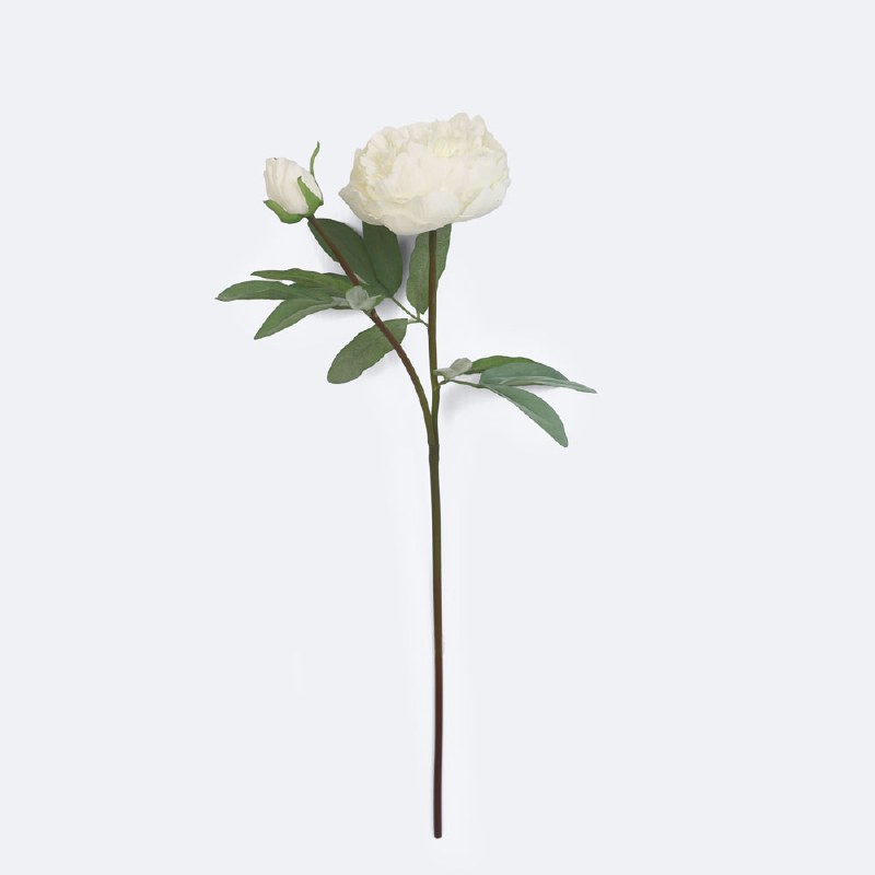Faux Peony - White