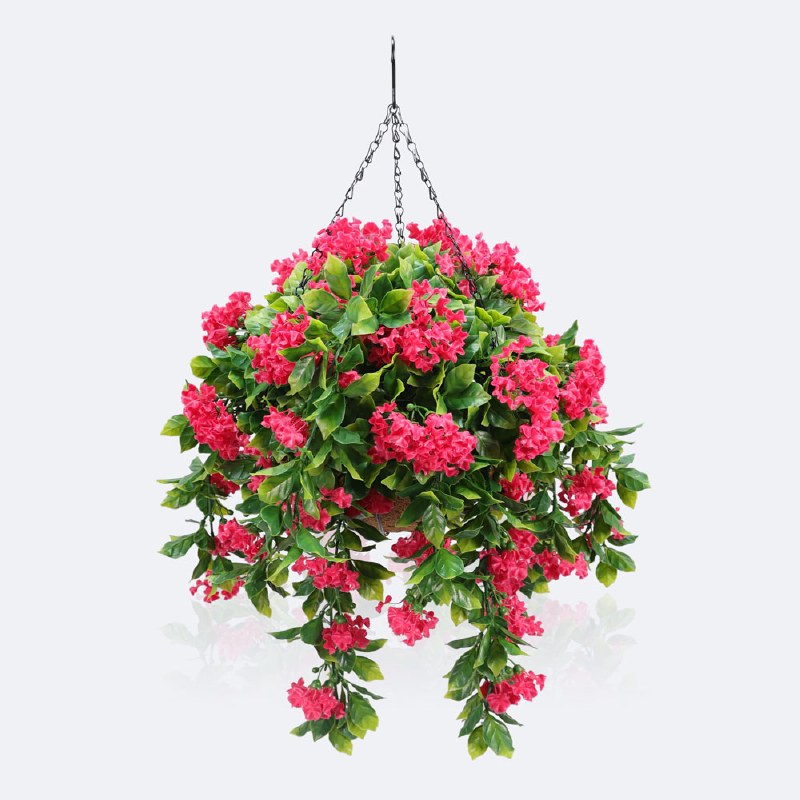 Hanging Planter - Bougainvillea