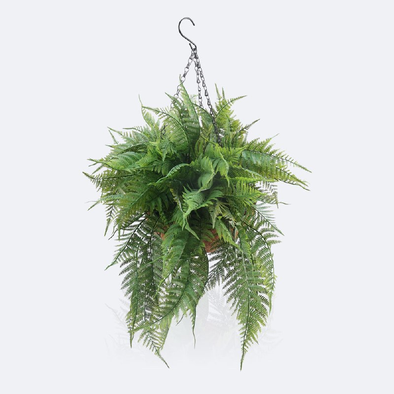 Hanging Planter - Fern