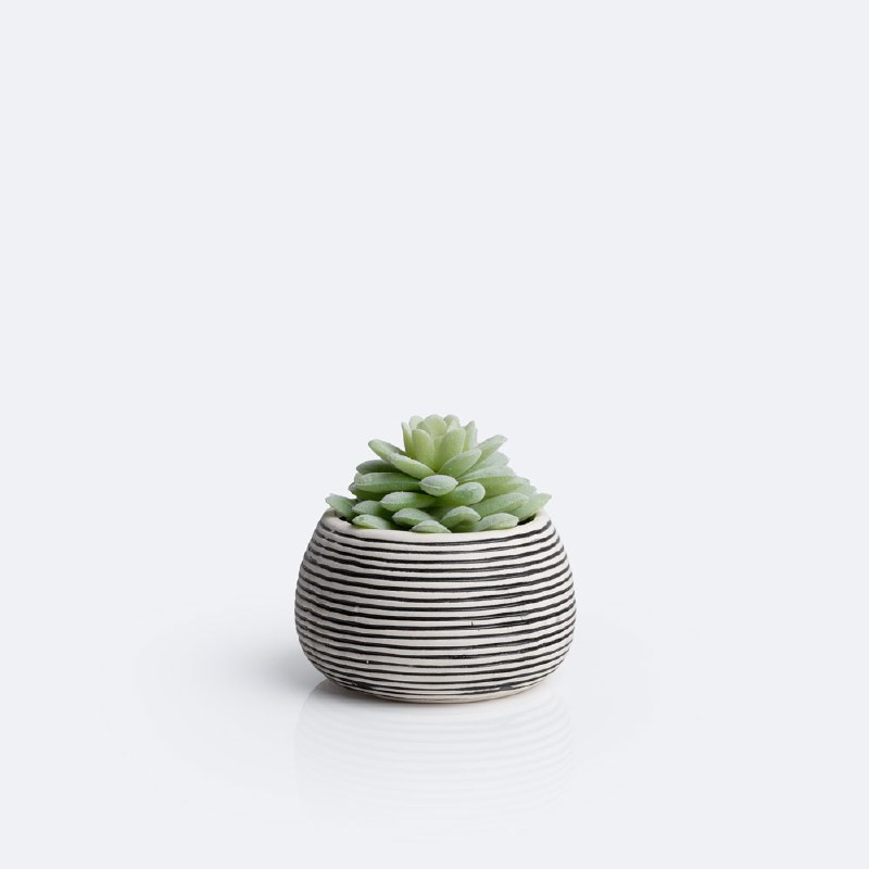 Small Succulent Planter