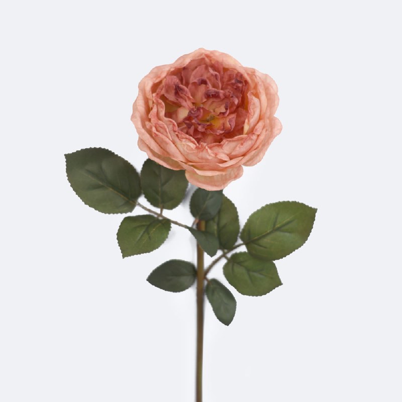 Faux Rose - Pink