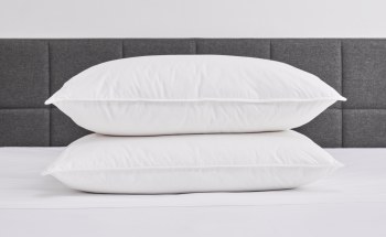 Summit Down Surround Pillow - Regular - White - set of Two