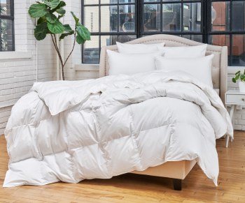 Suprelle Duvet - Queen White