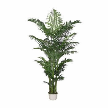 Areca Palm - 90"