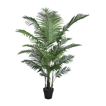Potted Areca Palm Potted Areca Palm