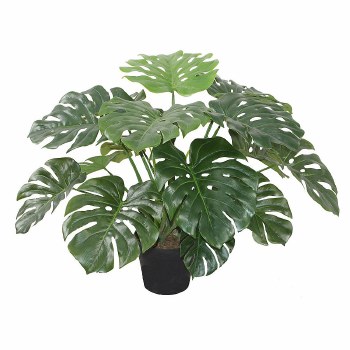 Monstera Plant-24"