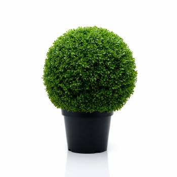 Boxwood Ball Topiary Tree