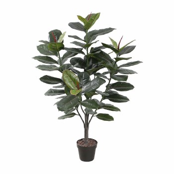 Ficus Tree -47"