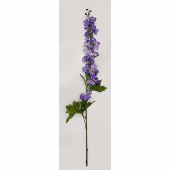 Delphinium