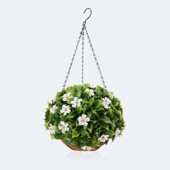 Hanging Planter - Impatiens