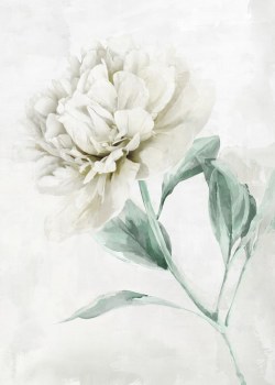 Oil Painting - White Carnation