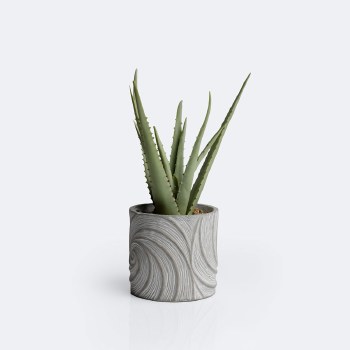 Aloe Planter