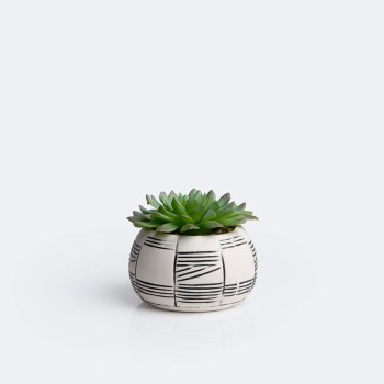 Small Succulent Planter