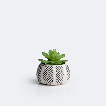 Small Succulent Planter