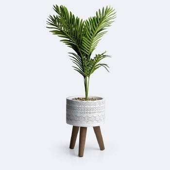 Palm Tree in Pot