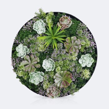 Artificial Wall Art - Succulents