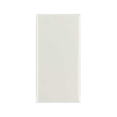 Blank Module White 50x25mm
