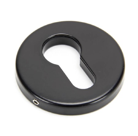 From The Anvil Regency Concealed Escutcheon Euro Black
