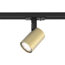 Ascoli Track Spotlight Matt Gold