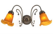 Er Art Nouveau Double Wall Light