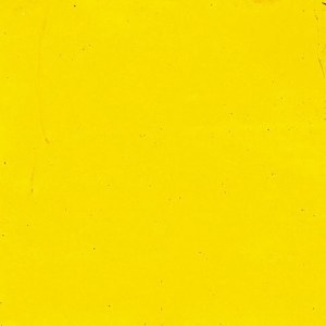 Encaustic Cake Cadmium Yellow Medium  40ML