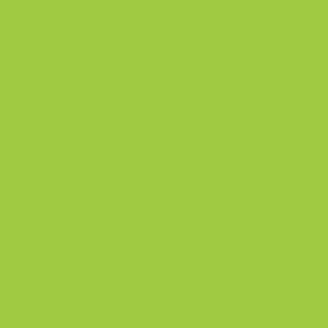 COPIC Sketch Marker FYG1 Fluorescent Yellow Green