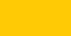 Faber-Castell Albrecht Durer Pencils - Dark Chrome Yellow #109