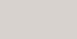 Faber-Castell Albrecht Durer Pencils - Warm Grey I #270