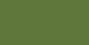 Faber-Castell Pitt Pastel Pencil - Chrome Green Opaque #174