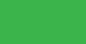 Faber-Castell Polychromos - Leaf Green #112