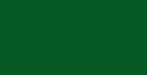 Faber-Castell Polychromos - Juniper Green #165