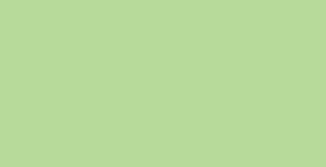 Faber-Castell Polychromos - Light Green #171