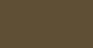 Faber-Castell Polychromos - Walnut Brown #177