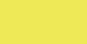 Faber-Castell Polychromos - Cadmium Yellow Lemon #205