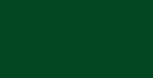 Faber-Castell Polychromos - Pine Green #267