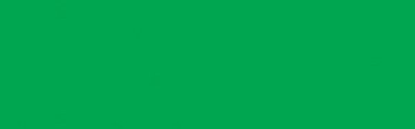 Jacquard Dye-Na-Flow Liquid Color 2.25Oz-Bright Green